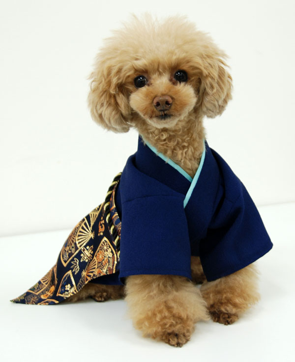 オーダーメイド犬の着物ー袴龍華HAKAMA（帯電防止裏地付き） 犬服、アクセサリー